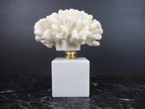 Coral Table Piece w Marble Can