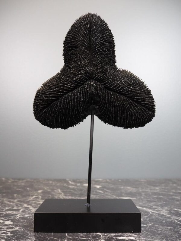 Coral Table Piece Black
