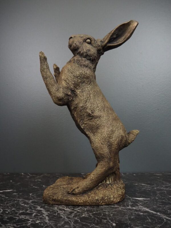 Hare Playing Games Bronze