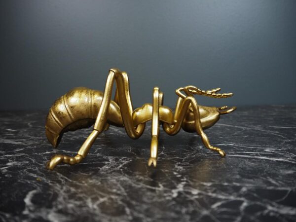 L8"Ant