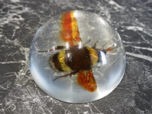 Bee Paperweight