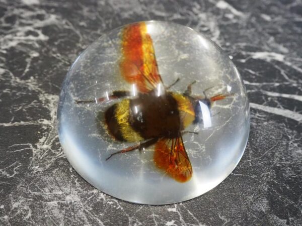Bee Paperweight