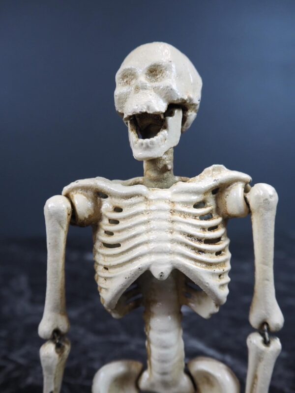 Skeleton - Image 2