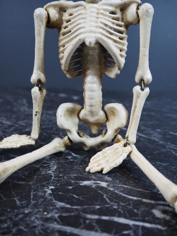 Skeleton - Image 3