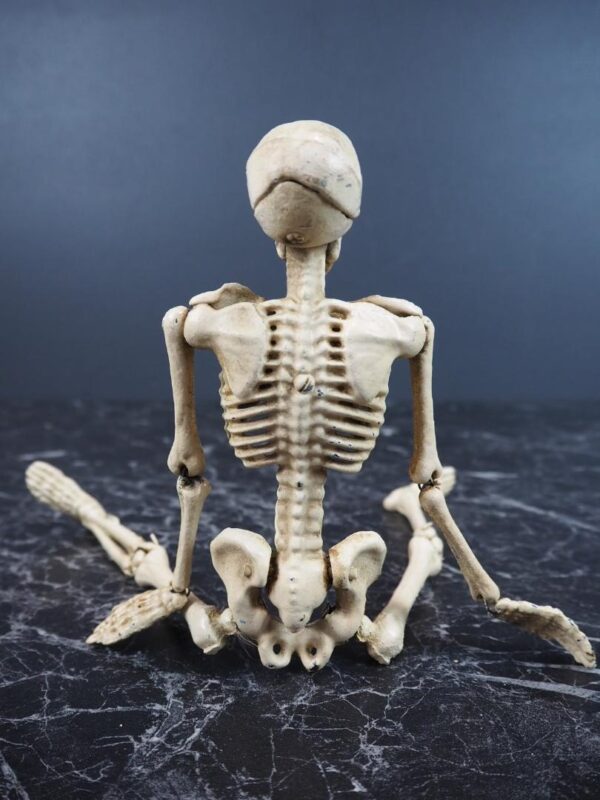 Skeleton - Image 4