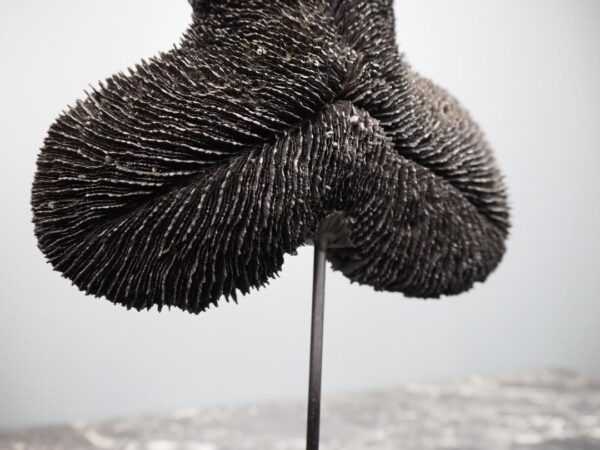Coral Table Piece Black - Image 2