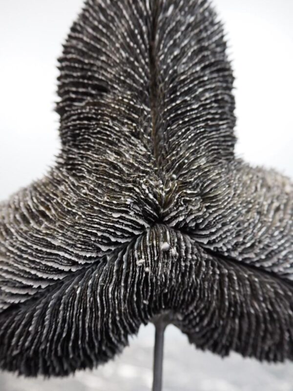 Coral Table Piece Black - Image 3