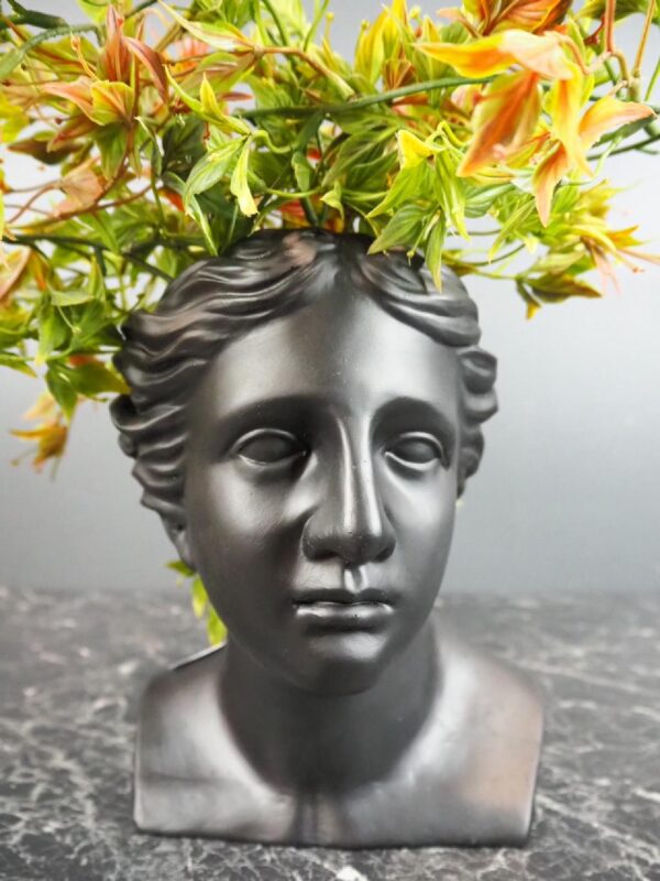 Head bust planter black S - Image 4