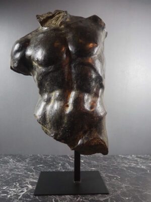 Torso black