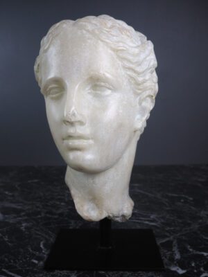 Aprodite Head white