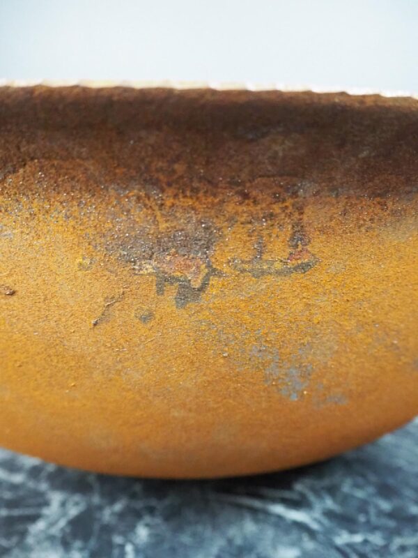 MEDICIA BOWL PLANTER 50 CM - Image 3