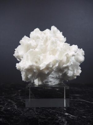 The Postiano Coral