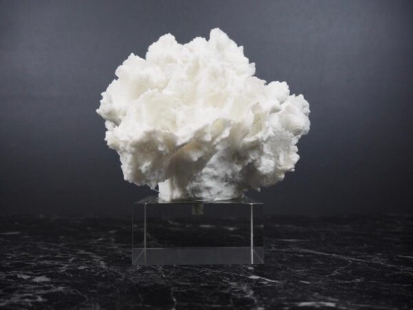 The Postiano Coral - Image 2