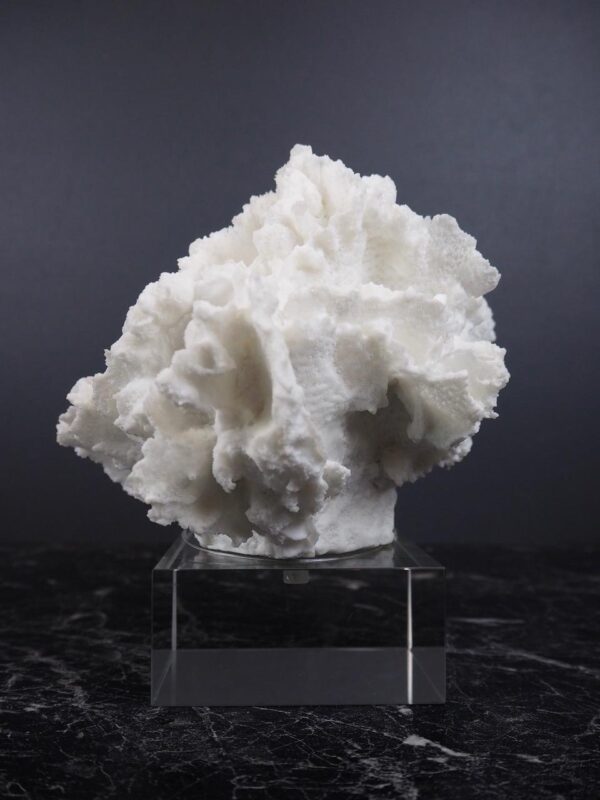 The Postiano Coral - Image 3
