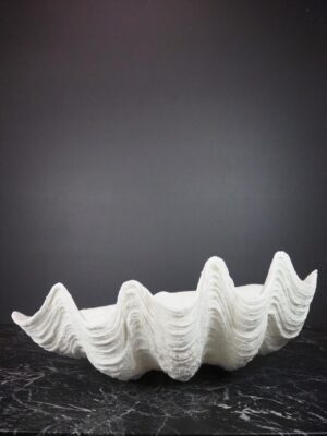 The Puerto Galera clam shell