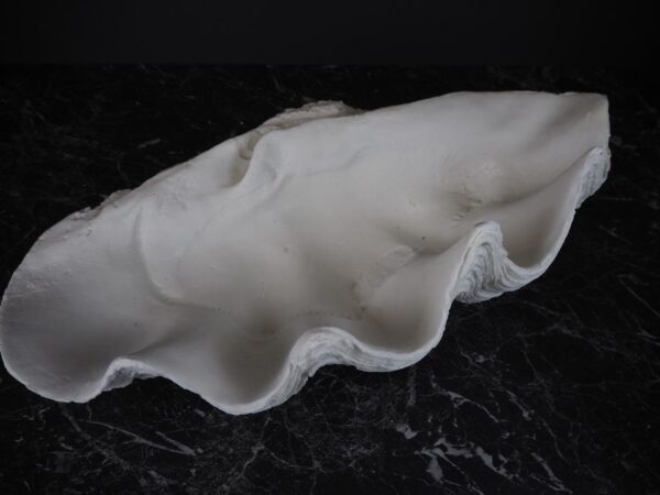 The Puerto Galera clam shell - Image 4