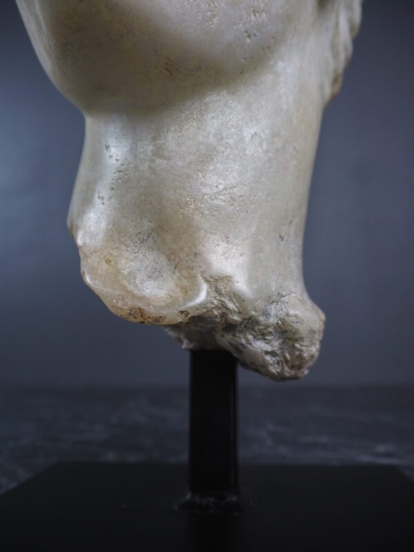Aprodite Head white - Image 5