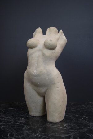 Female Torso RS