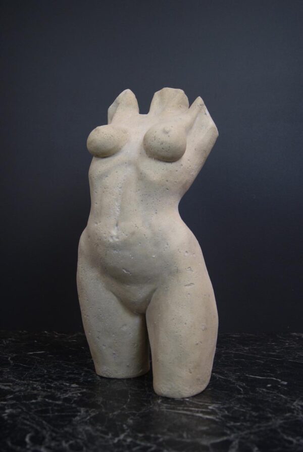 Female Torso RS
