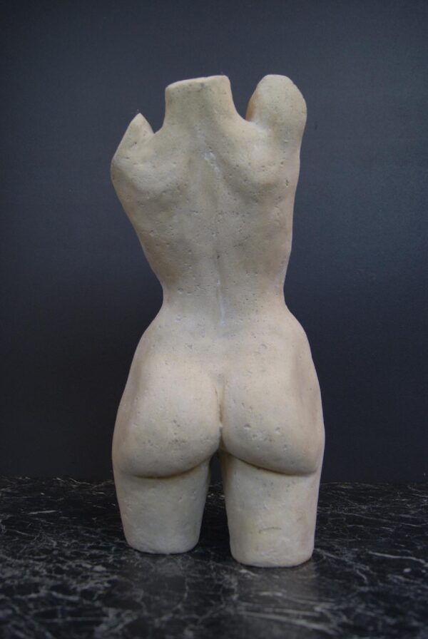 Female Torso RS - Image 2