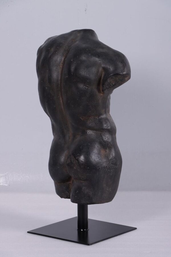 Andrea male torso Aged black stone - Image 2