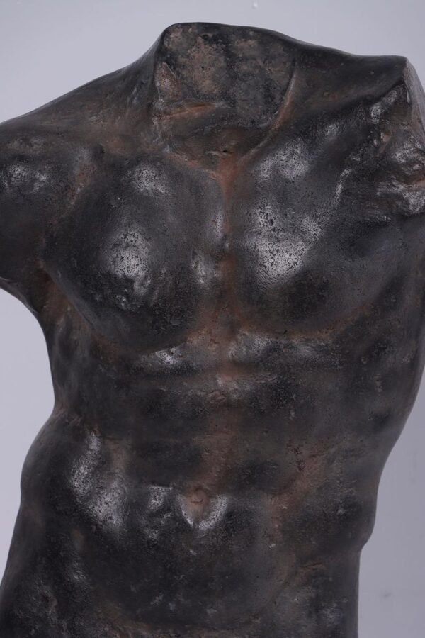 Andrea male torso Aged black stone - Image 3