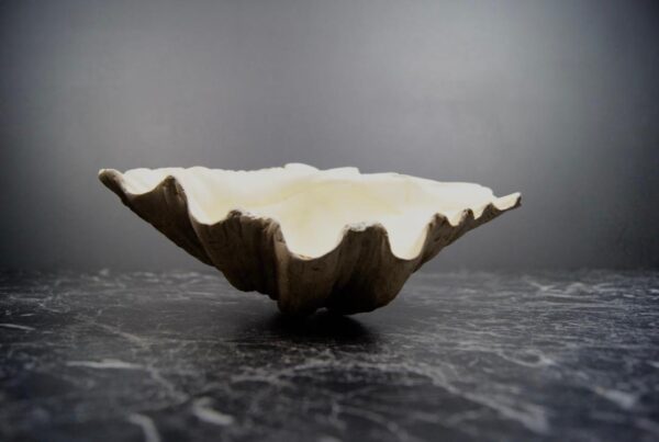 Faux Clam Shell Bowl - Image 2