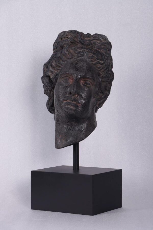 Julius Ceasar Head on Base Aged black