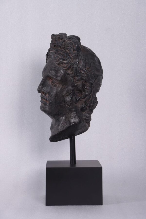 Julius Ceasar Head on Base Aged black - Image 3