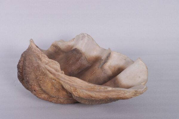 Laguna Faux Clam Shell Bowl - Image 2