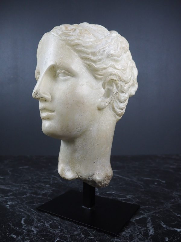 Aprodite Head white - Image 4