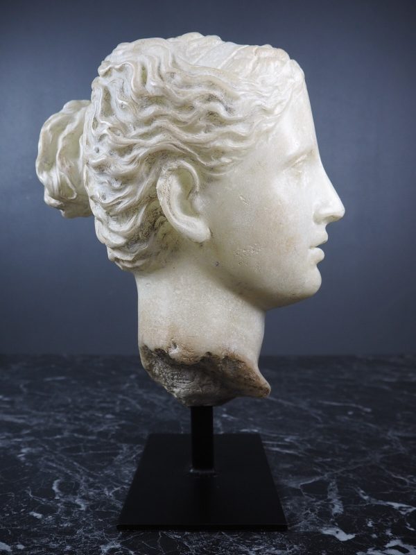 Aprodite Head white - Image 2