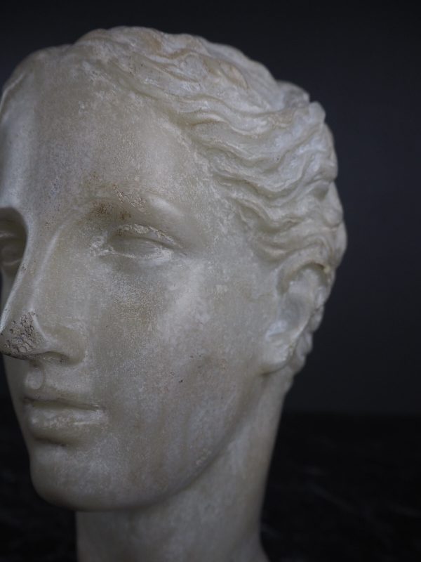 Aprodite Head white - Image 3