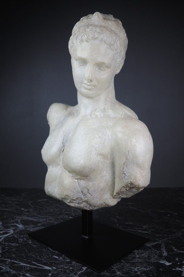 Antinous Farnesio Bust white - Image 2