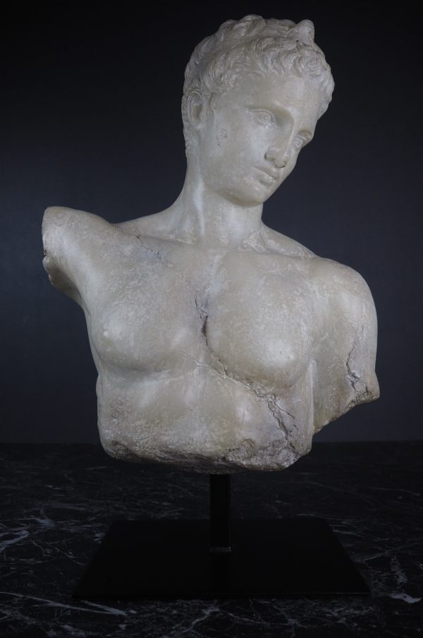Antinous Farnesio Bust white