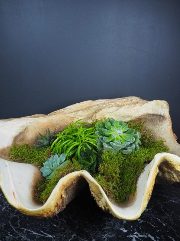 Laguna Faux Clam Shell Bowl - Image 4