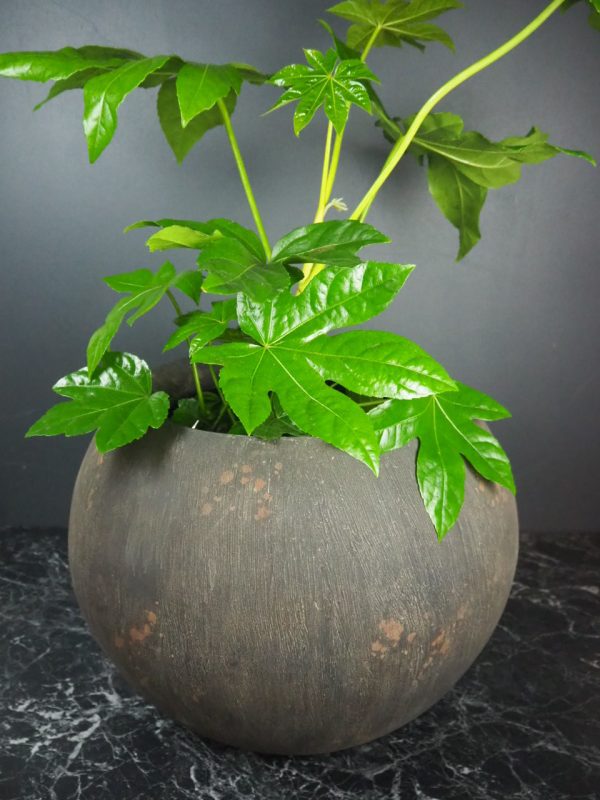 Globe planter small - Image 3