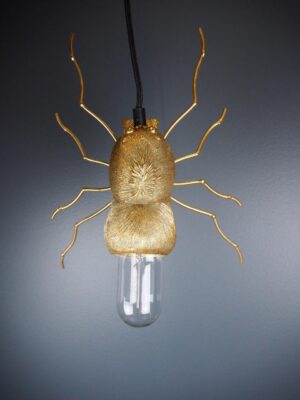 Spider light gold