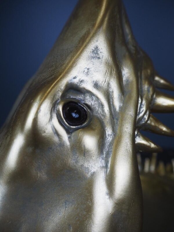 Shark head plate - Image 4