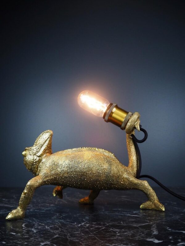 Chamelion light gold - Image 3