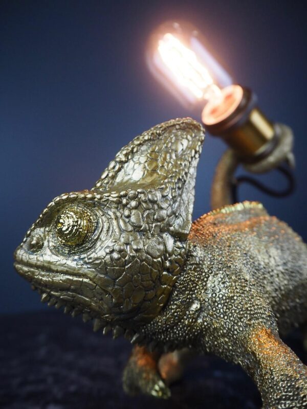 Chamelion light gold - Image 4