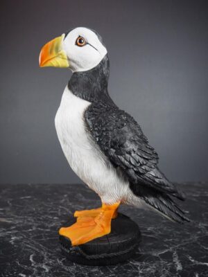 Puffin Bird