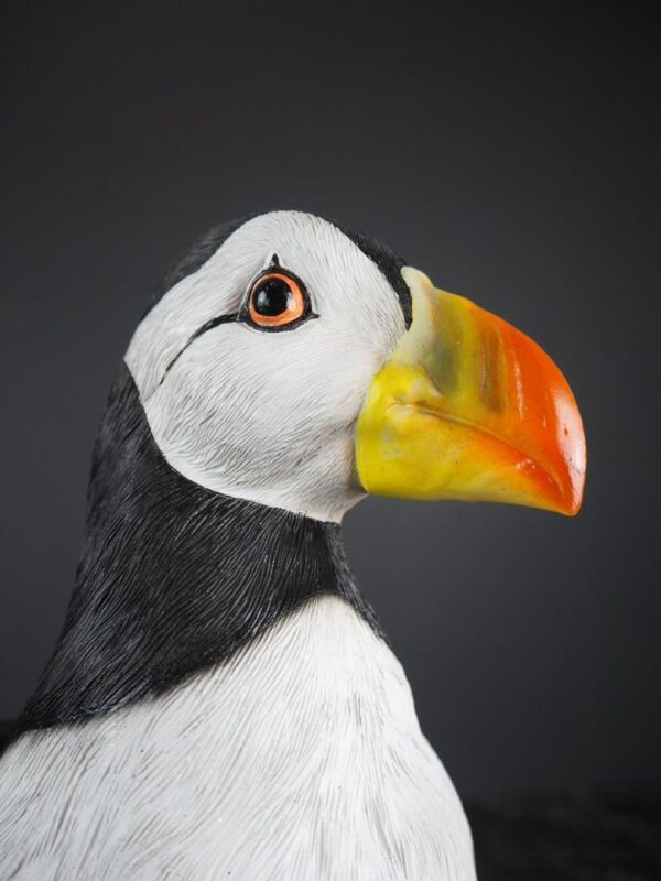 Puffin Bird - Image 2