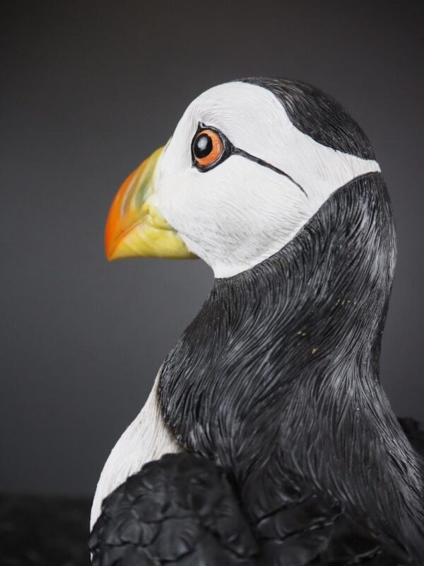 Puffin Bird - Image 3