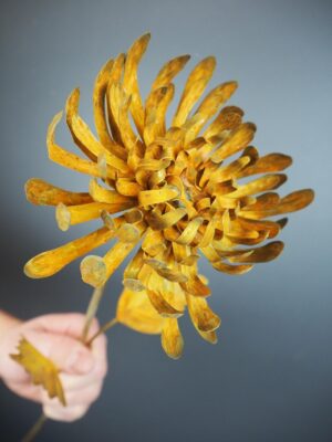 Metal carnation rust