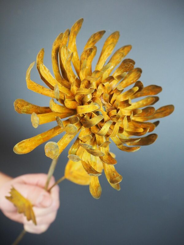 Metal carnation rust