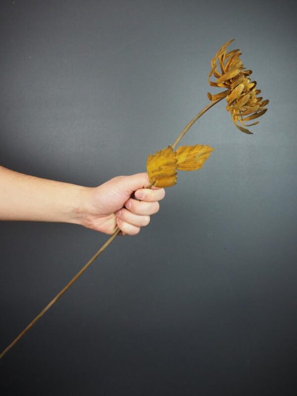 Metal carnation rust - Image 2