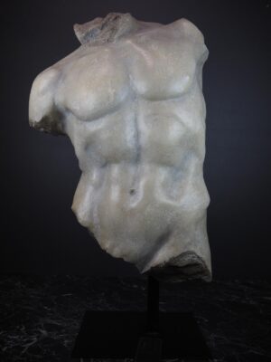Torso white
