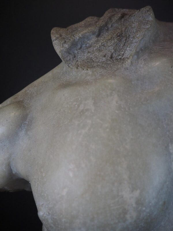 Torso white - Image 2