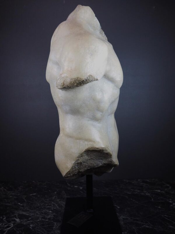 Torso white - Image 3